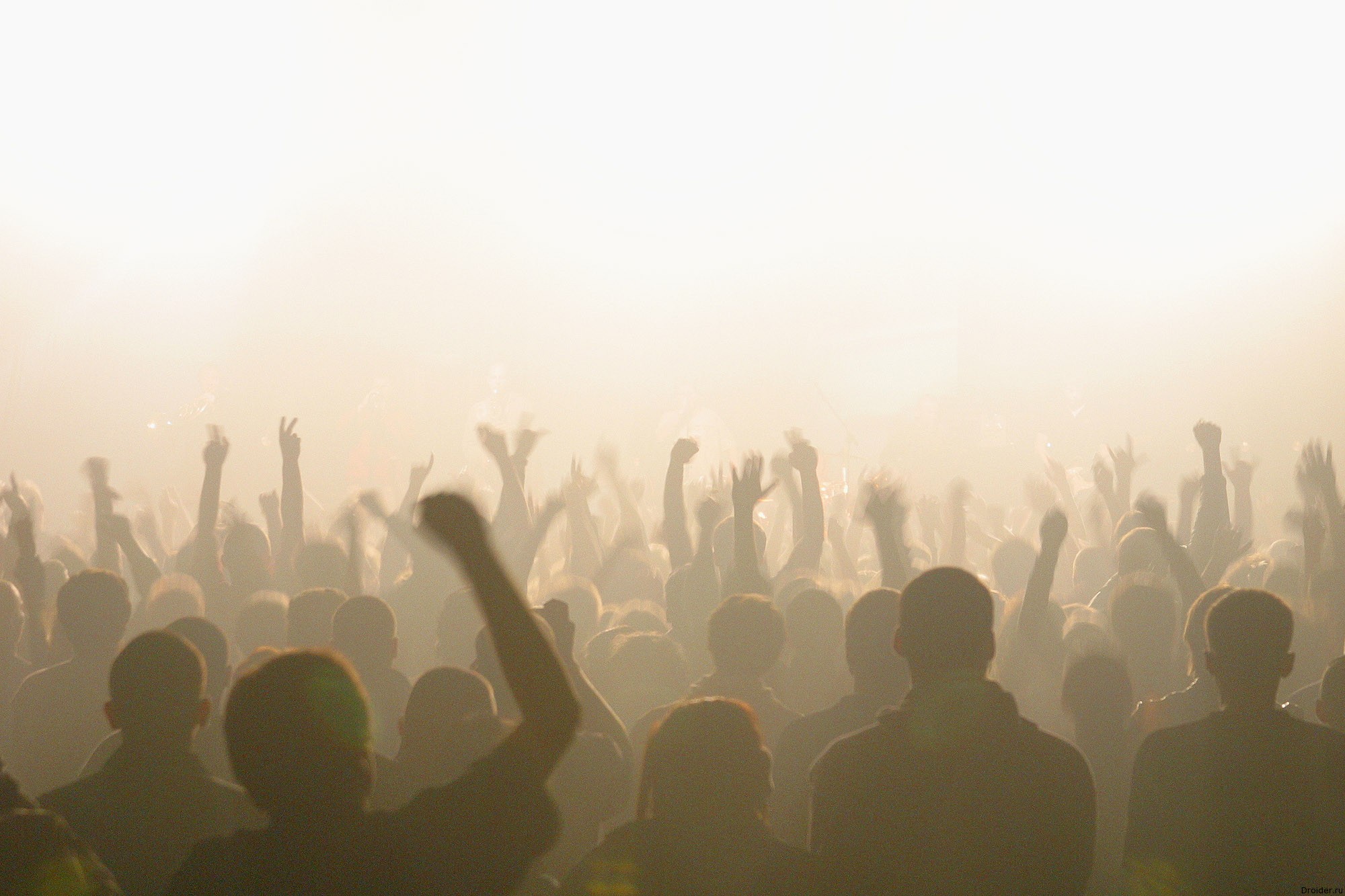 crowd1