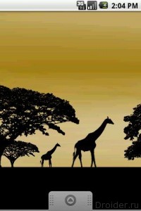 Giraffe Live Wallpaper FREE