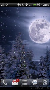 Night Snow