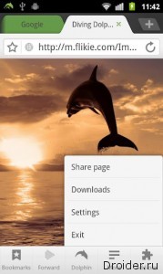 Dolphin Browser