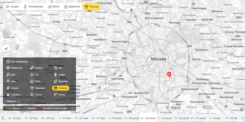 Карта аллергии Москва. Карта пыльцы для аллергиков Москва. Карта пыльцы Москва. Гисметео пыльца березы
