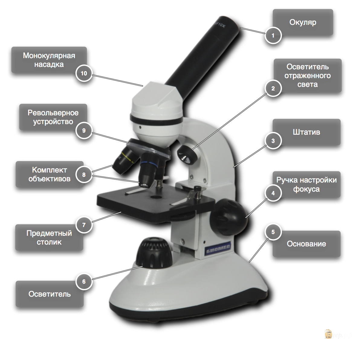 Фото микроскопа с подписями