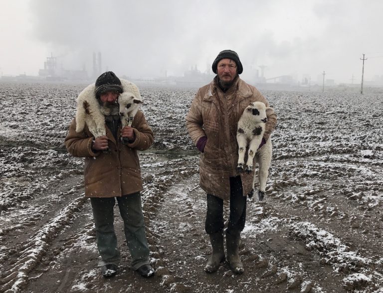 Объявлены победители конкурса iPhone Photography Awards 2021