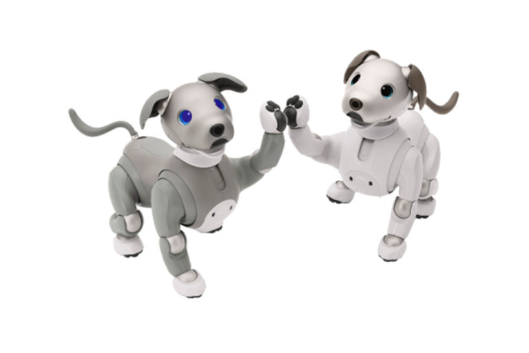 Sony Aibo неожиданно обновили: Перекрасили ему шерсть