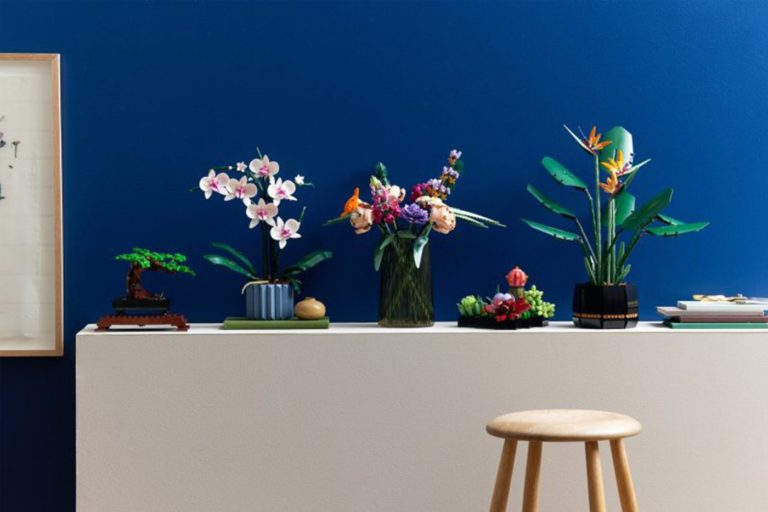 LEGO Creator пополнился наборами Орхидея и Суккуленты