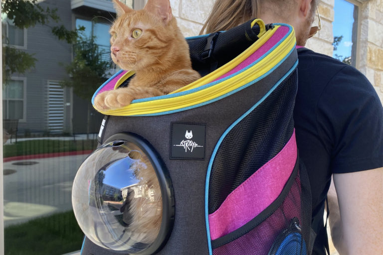 Рюкзак, шлейка и поводок: Коллаборация Stray и Travel Cat